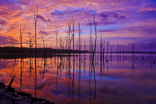 Manasquan Reservoir County Park