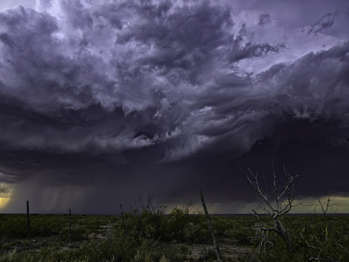 Blue Storm