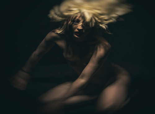 Wild Look in Motion