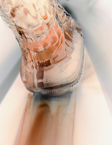Light Caught in a Bottle