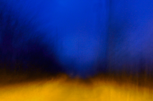 Colours of My Dreams