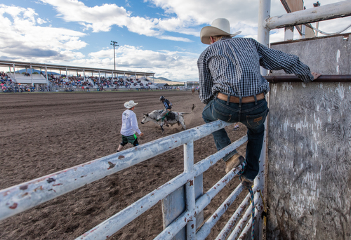Junior Rodeo Riders