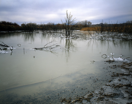 Frozen Lake