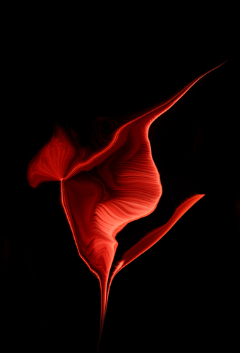 Red flower