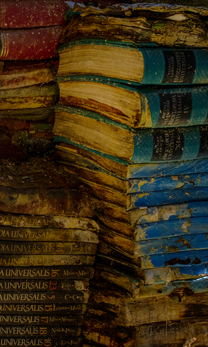 Bookstore in Venice 3