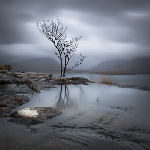 The Rhythm of Silence