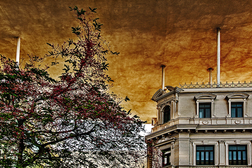 Spring at Maua Square