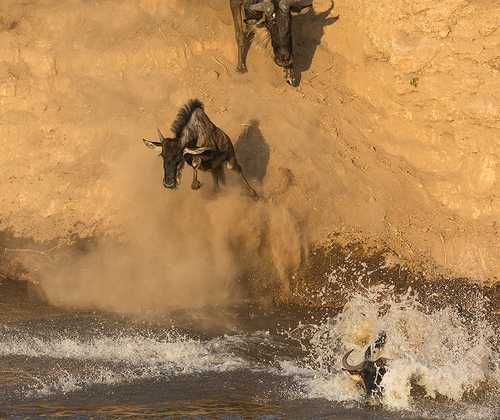 Jumping to the River