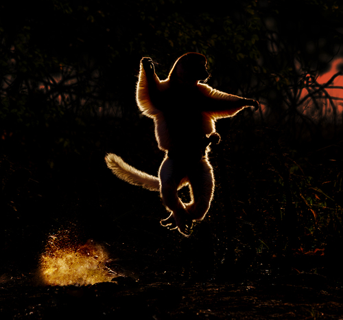 Morning jumps
