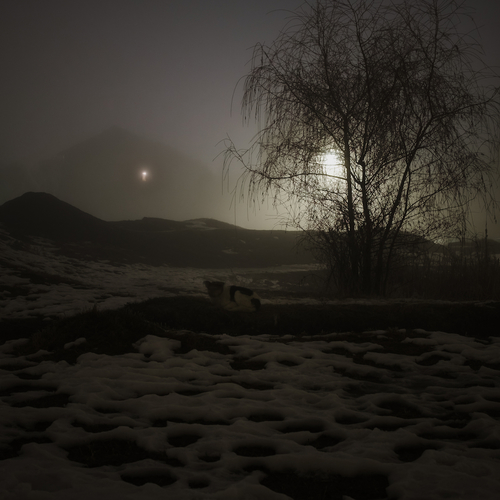 Half-light