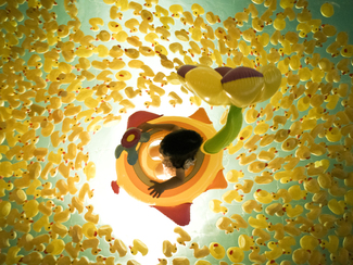 Color Awards Winners and Nominees