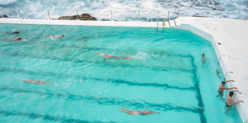 Bondi Pool Lap Swimmers