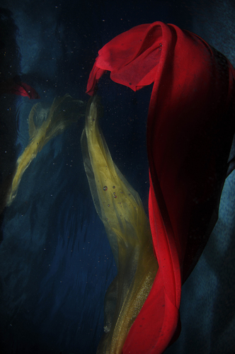 Underwater Dance