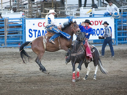 Cody Stampede