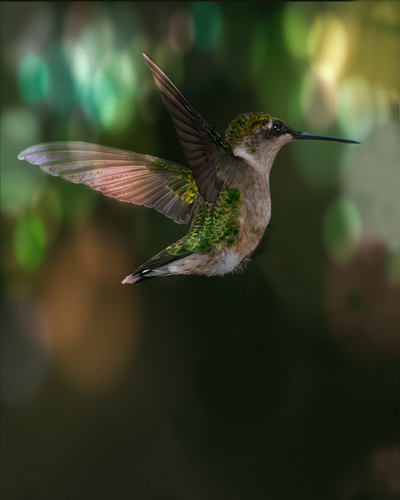 Hover
