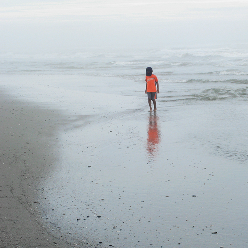 By the Sea, Fog