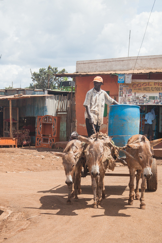 The Water Cart I