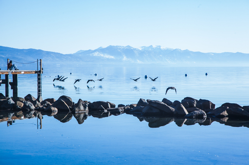 Call of the Wild Geese