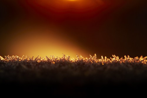 Snow at Sunset