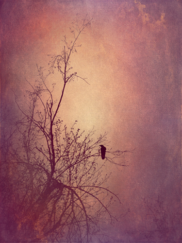 Await