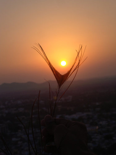 Sunset taken by Peacock\'s Feather