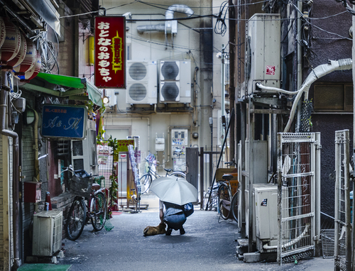 Tokyo Kitty aka Toys For Adults