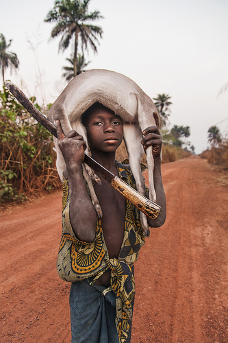 Bush Meat, Sierra Leone