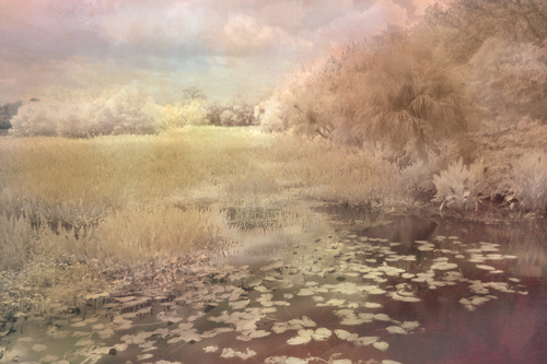 Stillness