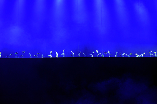 Cosmic Dance