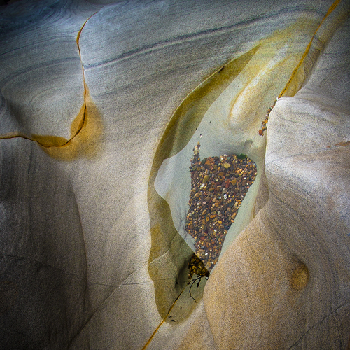 Tidepool, Point Lobos, California