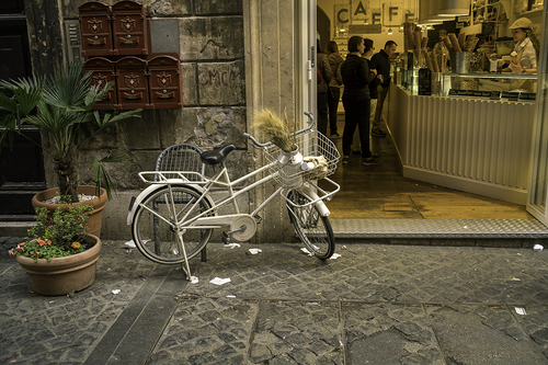 White Bike