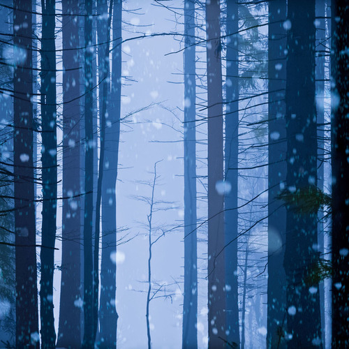 Snowfall