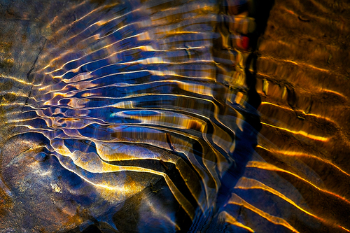 Feather