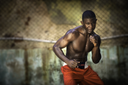 The Boxer