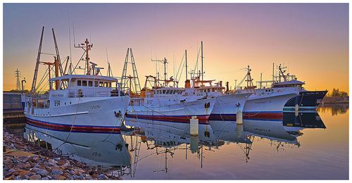 Paspaley Pearl Boats