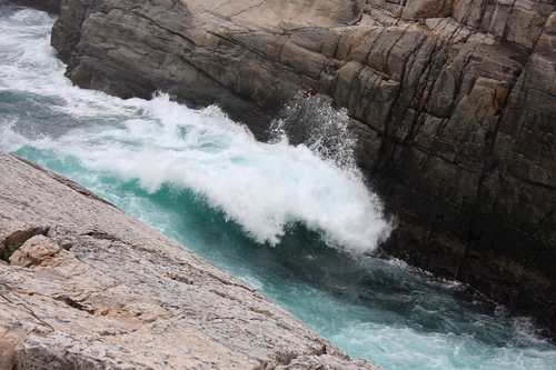 The Turquoise Wave