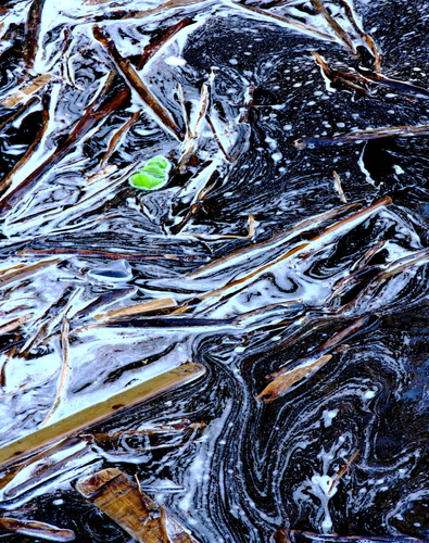 Nature Becomes Art