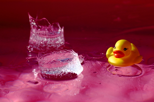 Lucky Duck