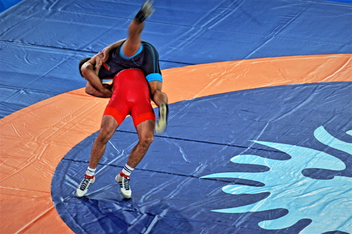 Wrestling Art