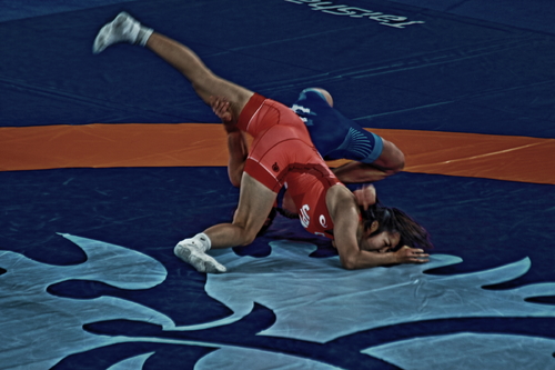 The Nature of Wrestling