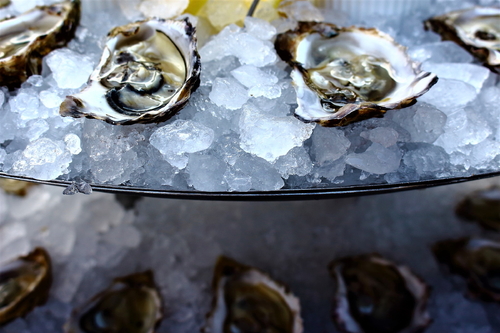 A culinary oyster meal awaits