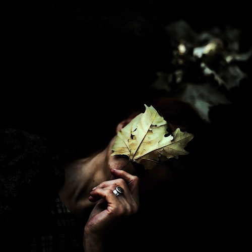 Alice Behind the Leaf