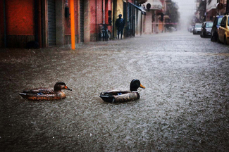 Color Awards Winners and Nominees