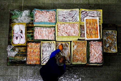 Asta Mercato della Pesca