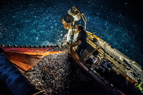 Fishing by Lampara Boat