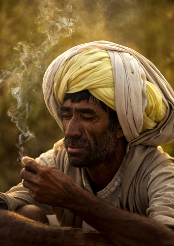 Portrait of a Camel Herder
