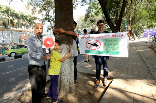 NO - Dont Cut the Trees