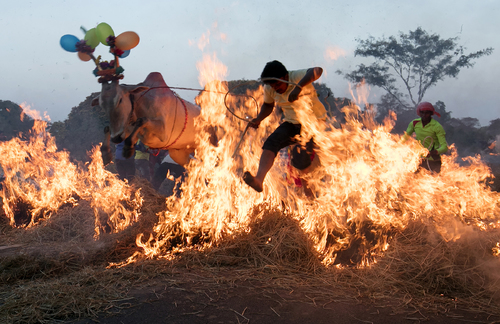 Shankranthi Festival- Southern India