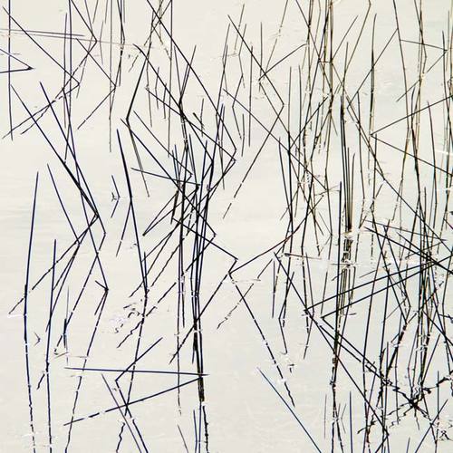 Pick Up Sticks