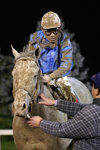 Mud Jockey